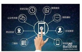百度蜘蛛池引流:算力FOMO，蜘蛛矿池引领加密货币挖矿新潮流