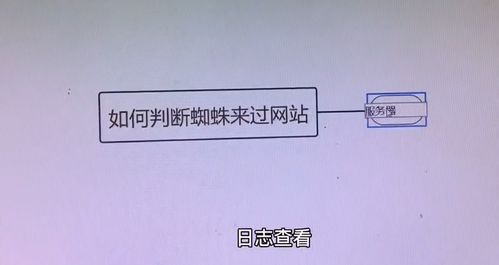 百度蜘蛛池收录:蜘蛛池技术原理图解，揭秘高效信息搜集的秘密武器