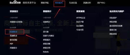 百度蜘蛛池收录:蜘蛛池广告主，揭秘网络广告新趋势