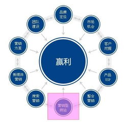 百度蜘蛛池咨询:长尾词精选蜘蛛池，挖掘潜在流量，提升网站SEO优化效果