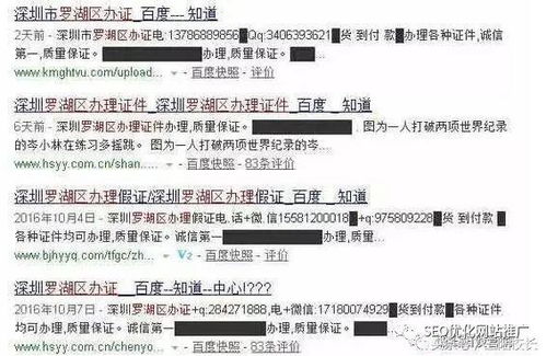 百度蜘蛛池价格:蜘蛛池对网站SEO的影响，揭秘其利与弊