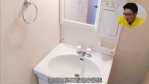 百度蜘蛛池收录:家里洗手池有蜘蛛，是好是坏？揭秘洗手池蜘蛛的真相！