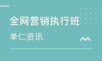 百度蜘蛛池价格:揭秘东莞蜘蛛池，网络营销背后的秘密与挑战