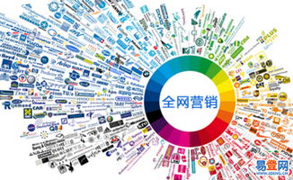 百度蜘蛛池咨询:蜘蛛池免费推广平台，助力企业低成本高效营销的神奇工具
