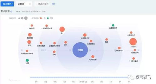 百度蜘蛛池优化:蜘蛛池，是爬虫还是搜索引擎优化工具？