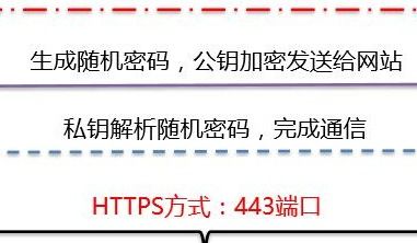 百度蜘蛛池价格:深度解析，最新蜘蛛池模版，助你高效提升网站收录与流量