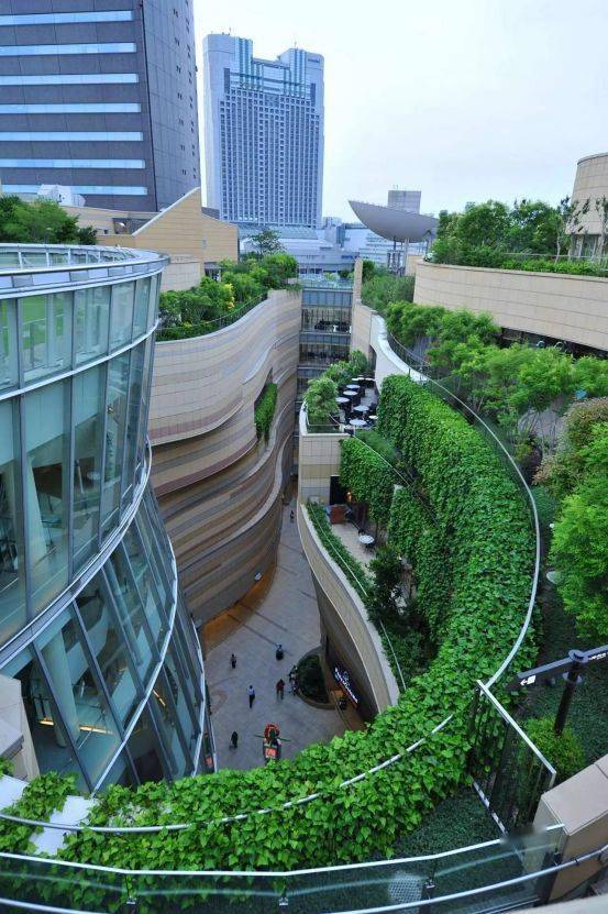 百度蜘蛛池咨询:蜘蛛池效果图大全集，探索创意无限的设计空间
