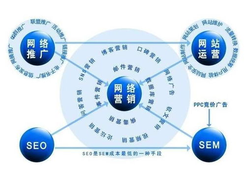 百度蜘蛛池价格:揭秘效果卓越的蜘蛛池，网络营销的得力助手