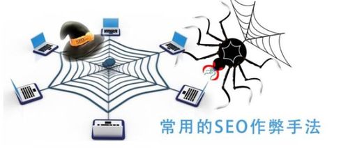 百度蜘蛛池优化:免费在线蜘蛛池，揭秘网络爬虫的免费午餐
