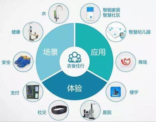 百度蜘蛛池效果:蜘蛛池搭建方案图解，从零开始构建高效SEO网络