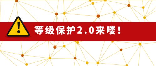 百度蜘蛛池租用:揭秘网络陷阱，如何辨别并规避蜘蛛池陷阱