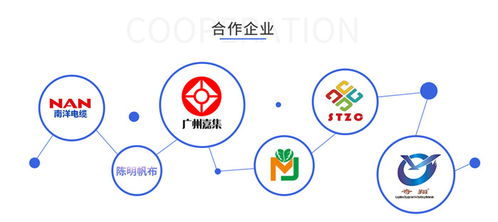 百度蜘蛛池收录:高效SEO工具，批量查询收录蜘蛛池，助力网站优化提升排名