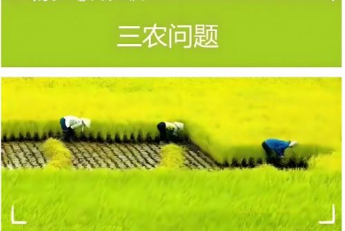 百度蜘蛛池出租:云南神马蜘蛛池出租，助力农业发展，共创美好未来