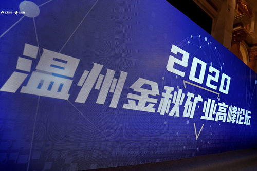 百度蜘蛛池价格:程东，蜘蛛矿池的领军人物，引领区块链挖矿新潮流