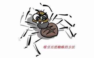 百度蜘蛛池价格:蜘蛛池的神秘访客，屎壳郎的奇妙邂逅