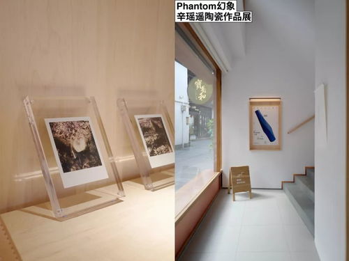 百度蜘蛛池效果:店铺洗手池出现蜘蛛，是好是坏？全面解析洗手池蜘蛛的利与弊