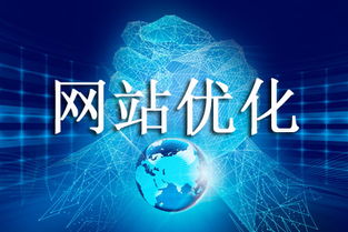 网络优化公司