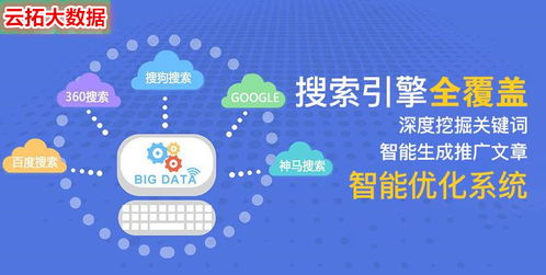 迅速上排名网站优化