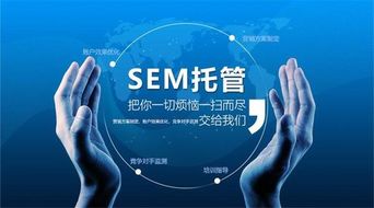 郑州竞价代运营公司