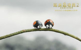 百度蜘蛛池价格:蜘蛛池蛾蠓，揭开神秘昆虫世界的面纱