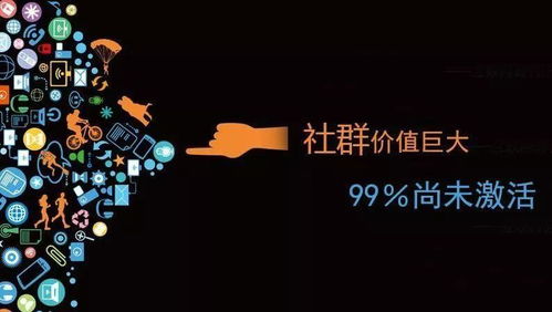 百度蜘蛛池优化:王越蜘蛛池，揭秘高效内容营销的秘密武器