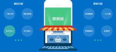 网络商城应该如何推广