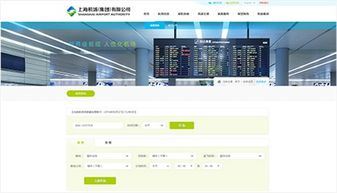 上海网站建设咨询
