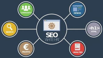 seo优化的主要任务