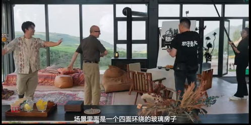 百度蜘蛛池引流:枫叶动态蜘蛛池，揭秘高效内容采集的秘密武器