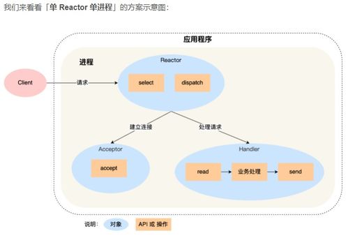 百度蜘蛛池价格:揭秘蜘蛛池原理，如何构建高效的网络营销平台