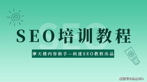 seo培训教程视频