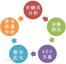 seo优化在哪里学