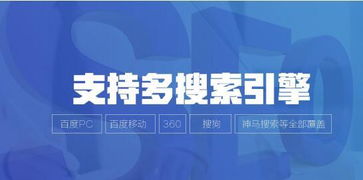 资源专业网站优化排名