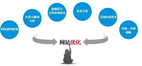 宁波seo网络推广软件系统