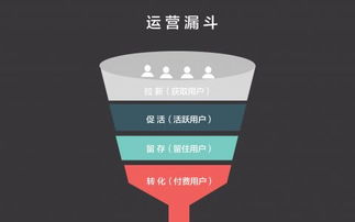 网站运营需要什么技能