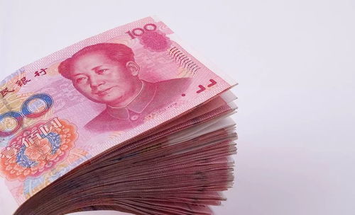做一个官网要多少钱
