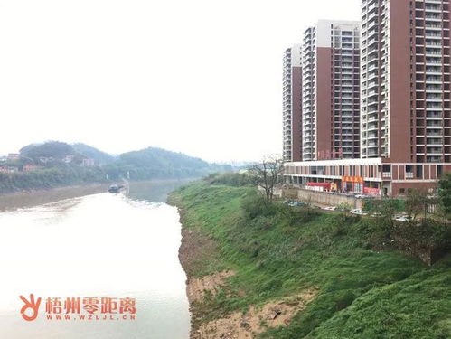 2024北京又开始核酸了吗今天