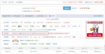 站长工具ip地址查询域名