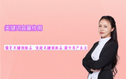 宁波seo整体优化公司