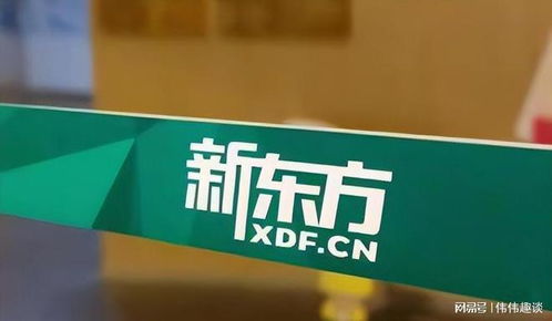 新东方教育机构官网