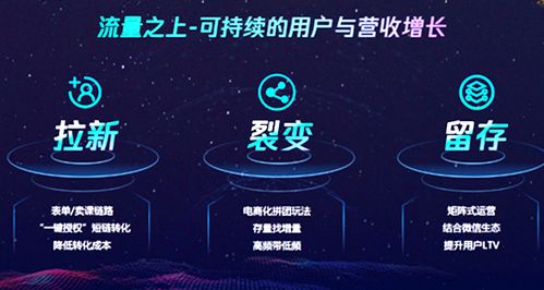 企业网络营销策略分析案例