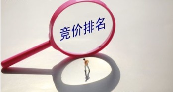 seo搜索引擎优化实训报告