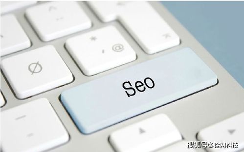 seo黑帽技术工具