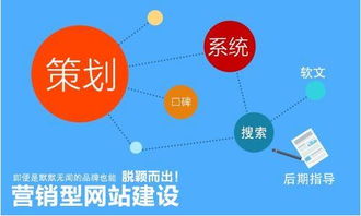 建立营销型网站