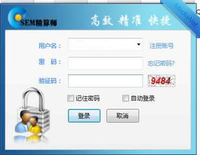 排名sem优化软件