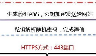 百度蜘蛛池引流:蜘蛛池价格揭秘，多少钱一平方米，影响因素大解析