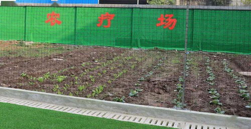百度蜘蛛池价格:打造完美家园，蜘蛛饲养池图片鉴赏与养护指南