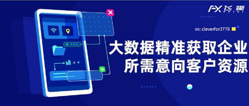 百度蜘蛛池优化:江西蜘蛛池出租包月服务，助力企业高效网络营销