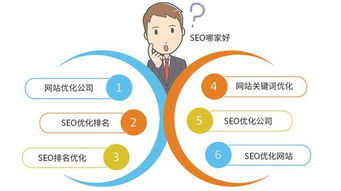 seo公司优化方案