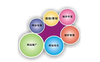 网站运营策划
